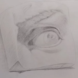 L&rsquo;oeil du David de Michel-Ange